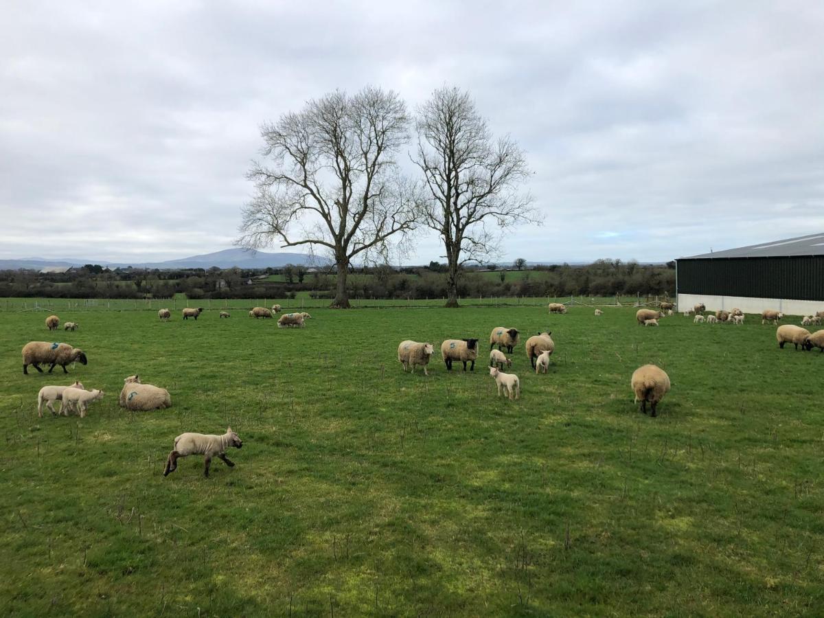 Knockreagh Farm Cottages, Callan, קילקני מראה חיצוני תמונה