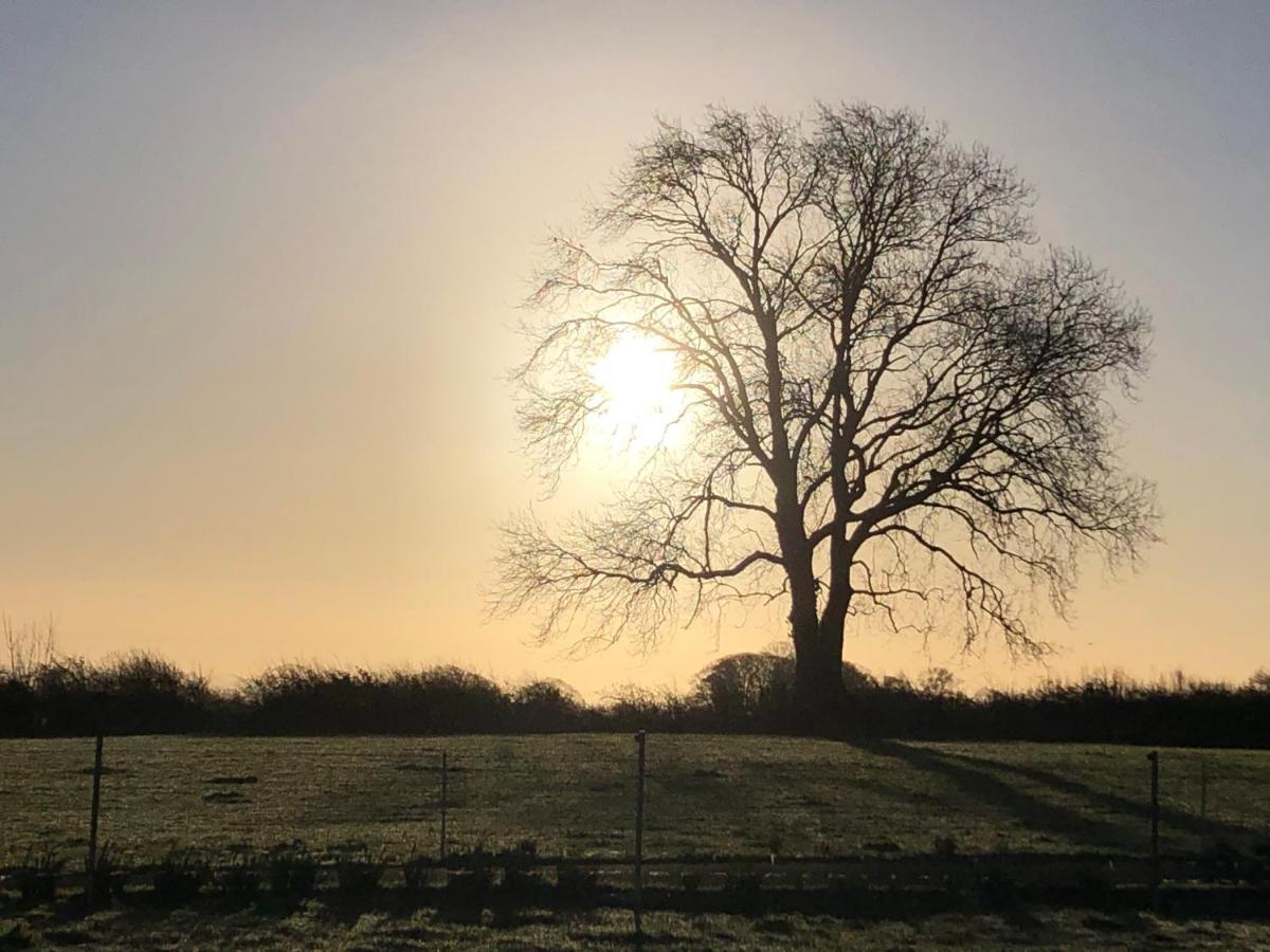 Knockreagh Farm Cottages, Callan, קילקני מראה חיצוני תמונה
