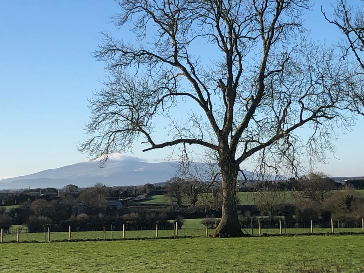 Knockreagh Farm Cottages, Callan, קילקני מראה חיצוני תמונה