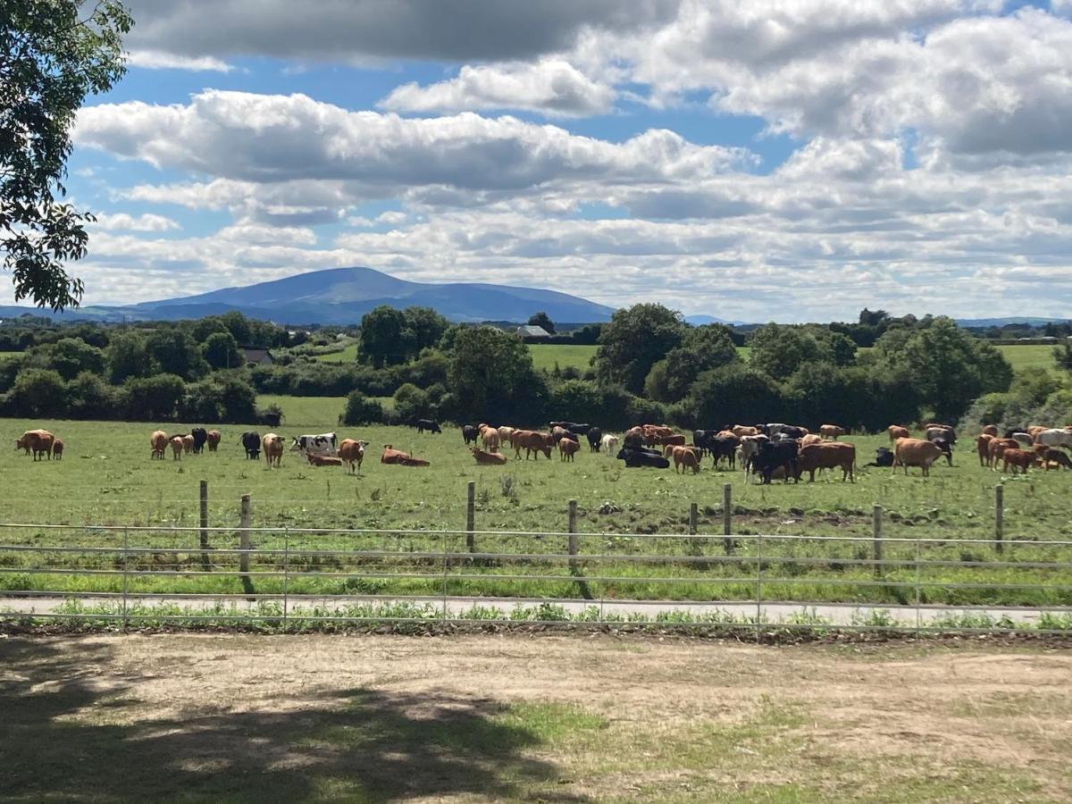 Knockreagh Farm Cottages, Callan, קילקני מראה חיצוני תמונה